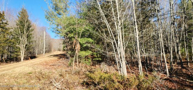 0 Bruce Cross Road, Prattsville, NY 12468