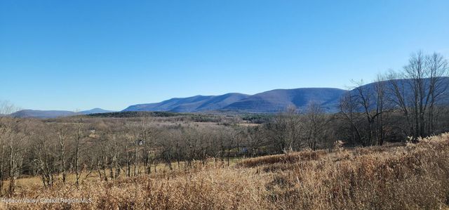 0 Bruce Cross Road, Prattsville, NY 12468