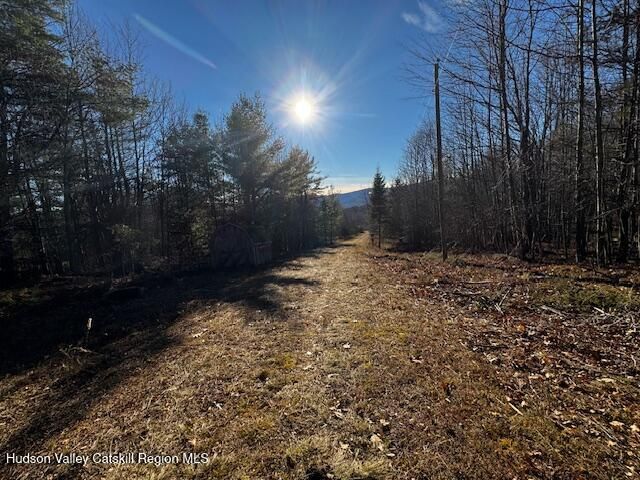 0 Bruce Cross Road, Prattsville, NY 12468