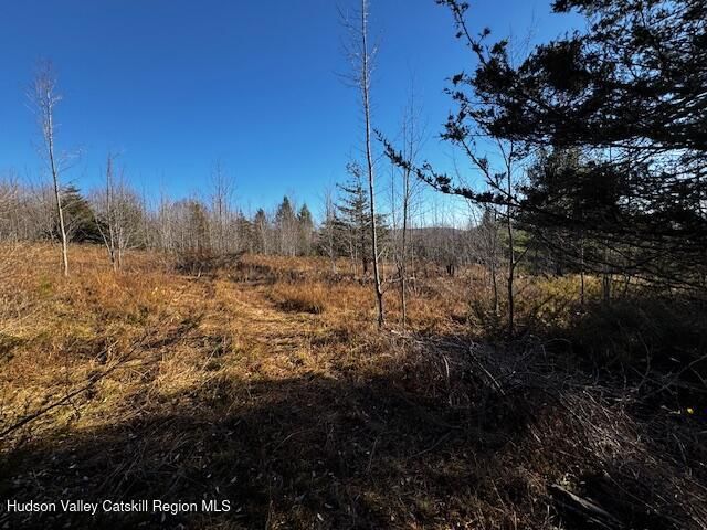 0 Bruce Cross Road, Prattsville, NY 12468