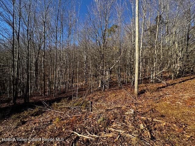 0 Bruce Cross Road, Prattsville, NY 12468