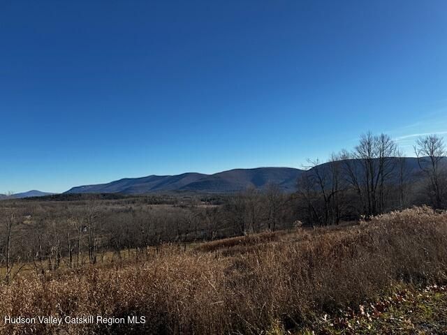 0 Bruce Cross Road, Prattsville, NY 12468