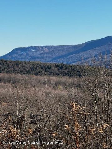 0 Bruce Cross Road, Prattsville, NY 12468