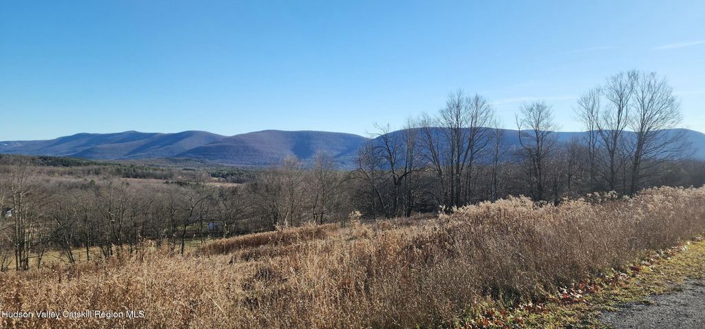 0 Bruce Cross Road, Prattsville, NY 12468