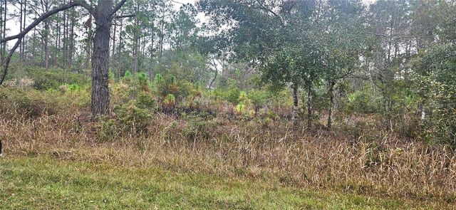 408 PANDORA DRIVE, Indian Lake Estates, FL 33855