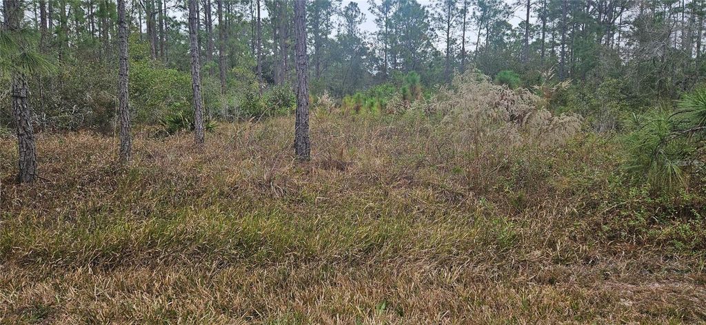 408 PANDORA DRIVE, Indian Lake Estates, FL 33855