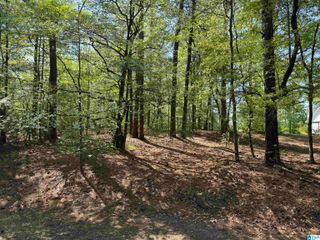 COUNTRY MANOR DRIVE, Sterrett, AL 35147