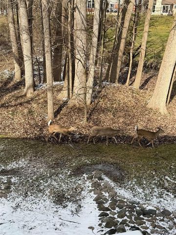 35034 Munger Street, Livonia, MI 48154