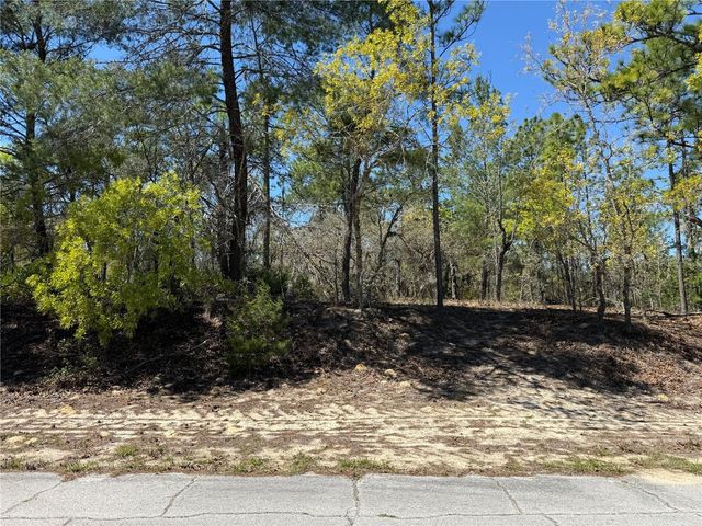 10776 N MORENO DRIVE, Dunnellon, FL 34433