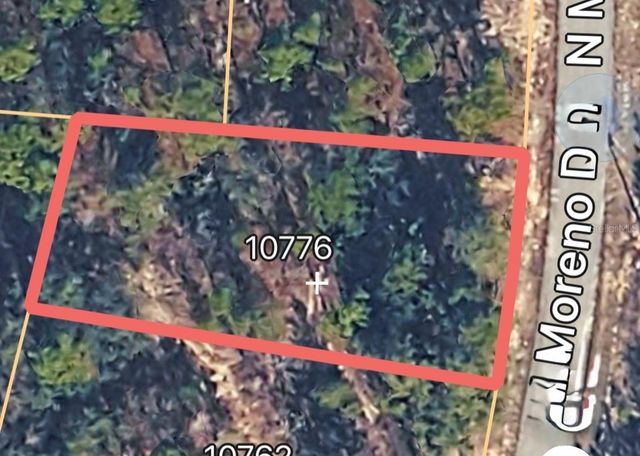 10776 N MORENO DRIVE, Dunnellon, FL 34433