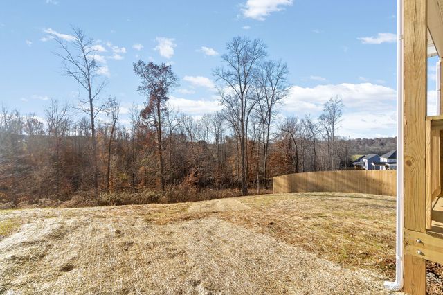 197 Dewberry Ct, Clarksville, TN 37042