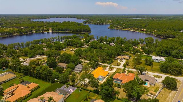 8610 VIVIAN BASS WAY, Odessa, FL 33556