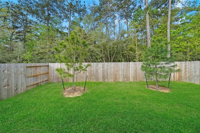 10429 Pineland Drive, Conroe, TX 77378