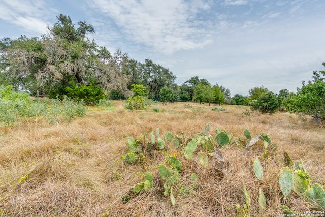 2218 Pinot Blanc, New Braunfels, TX 78132