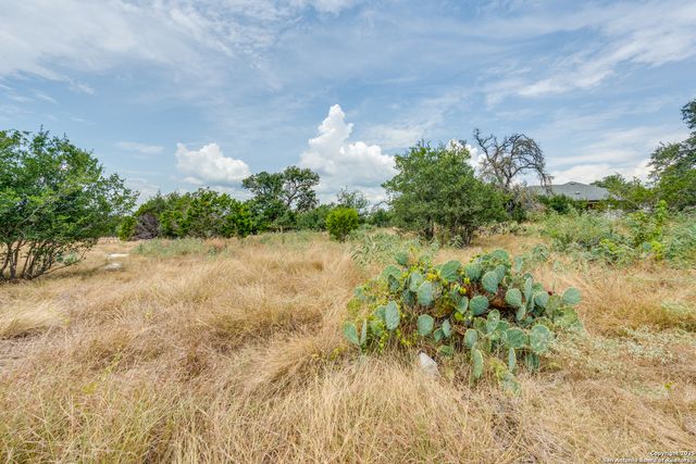 2218 Pinot Blanc, New Braunfels, TX 78132