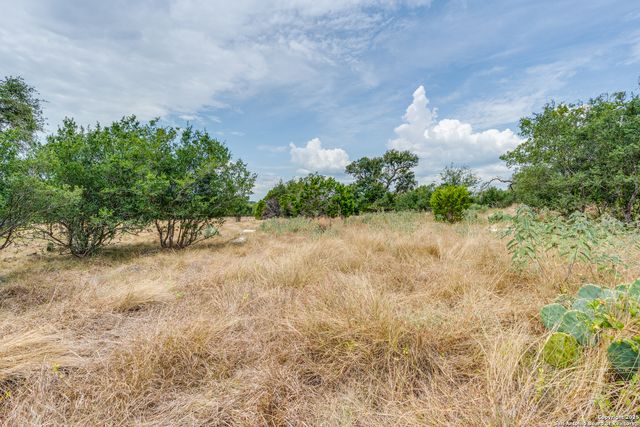 2218 Pinot Blanc, New Braunfels, TX 78132