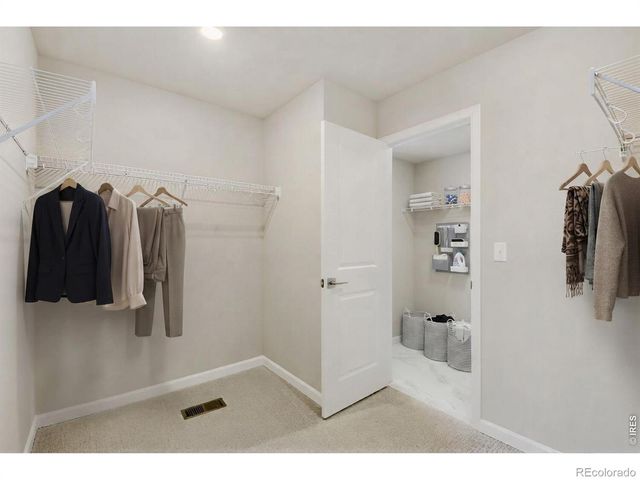 2575 Violet Cress Lane, Fort Collins, CO 80524