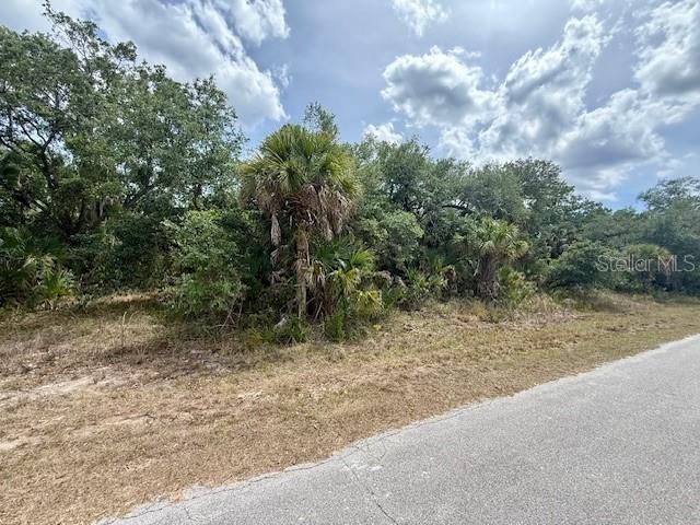 19135 RUSKIN AVENUE, Port Charlotte, FL 33954