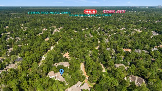 14 Peony Springs Court, The Woodlands, TX 77382