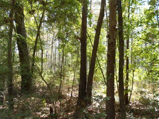 5150 Josserand Road, Groveton, TX 75845