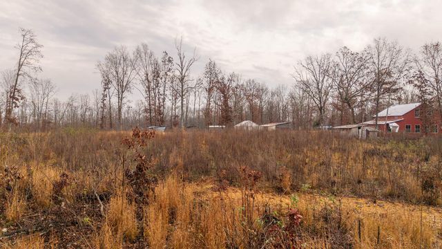 557 County Road 206, Alton, MO 65606