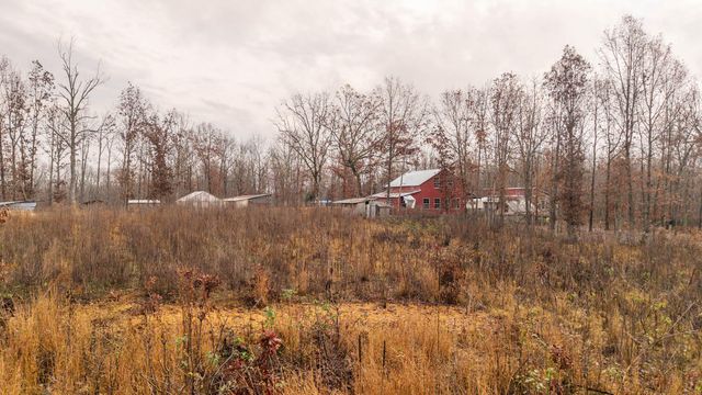 557 County Road 206, Alton, MO 65606