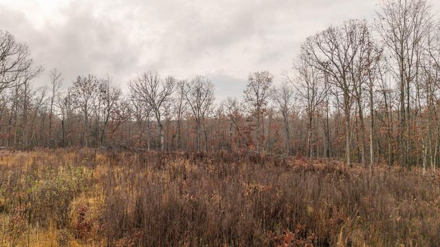 557 County Road 206, Alton, MO 65606