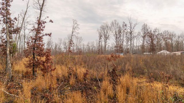 557 County Road 206, Alton, MO 65606