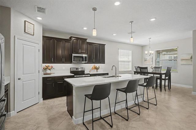 31609 CANNON RUSH DRIVE, San Antonio, FL 33576