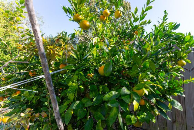 3807 UNION PACIFIC Drive W, Jacksonville, FL 32246