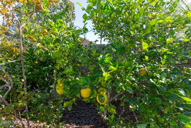 3807 UNION PACIFIC Drive W, Jacksonville, FL 32246