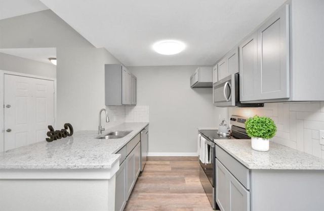 10101 S Gessner Road 811, Houston, TX 77071