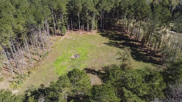 137 Burkett Ln, Denham Springs, LA 70706