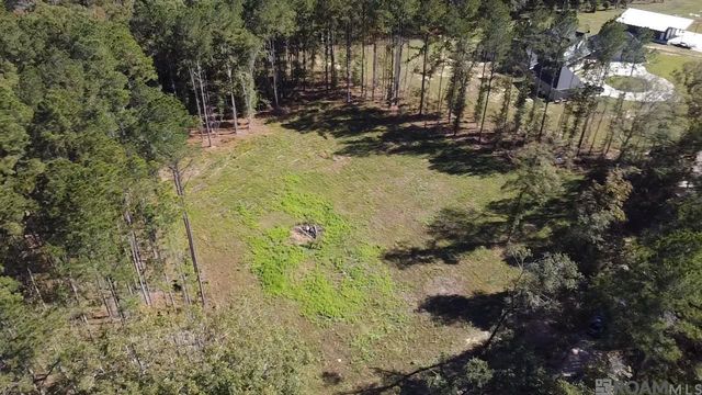 137 Burkett Ln, Denham Springs, LA 70706