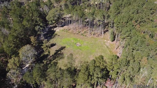 137 Burkett Ln, Denham Springs, LA 70706