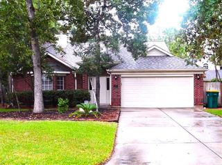 46 Sweetdream Place, Spring, TX 77381