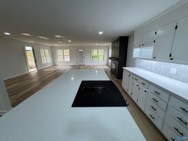 3632 Pearson Circle, Guntersville, AL 35976