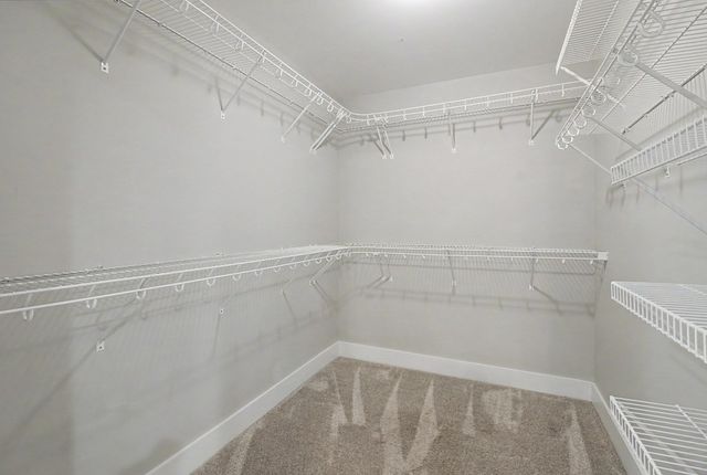402 Cable Street, Headland, AL 36345