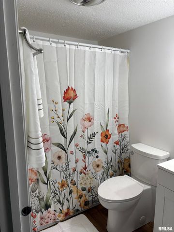 1901 Jeanette Ln Apt 3, Springfield, IL 62702