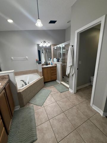 41430 ROGER GILES ROAD, Umatilla, FL 32784