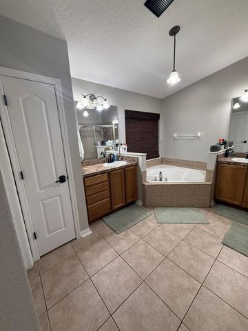 41430 ROGER GILES ROAD, Umatilla, FL 32784