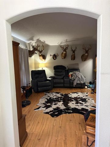 41430 ROGER GILES ROAD, Umatilla, FL 32784