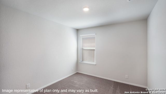 1536 Agave Cellar, New Braunfels, TX 78130