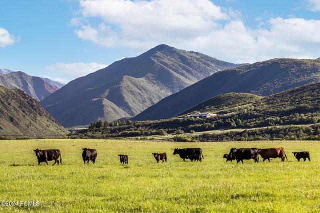 533 N Left Fork Hobble Creek Canyon, Springville, UT 84663