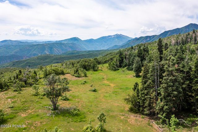 533 N Left Fork Hobble Creek Canyon, Springville, UT 84663
