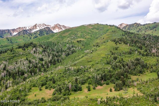 533 N Left Fork Hobble Creek Canyon, Springville, UT 84663