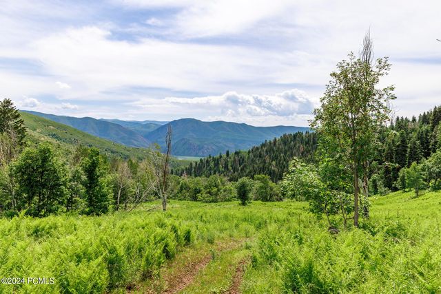 533 N Left Fork Hobble Creek Canyon, Springville, UT 84663