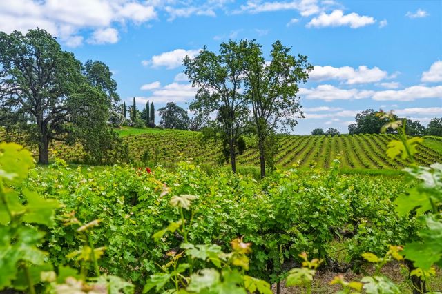 10120 Shenandoah Rd, Plymouth, CA 95669