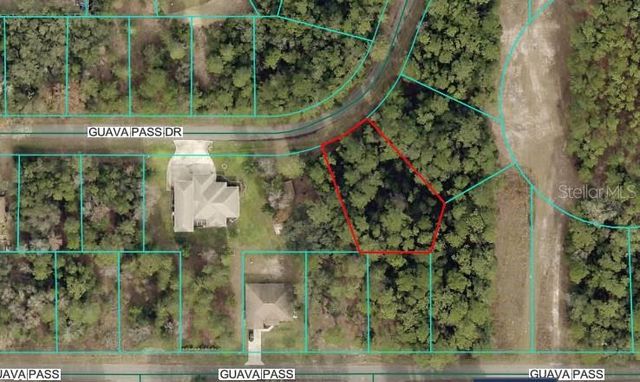 Lot 26 GUAVA PASS DRIVE, Ocklawaha, FL 32179
