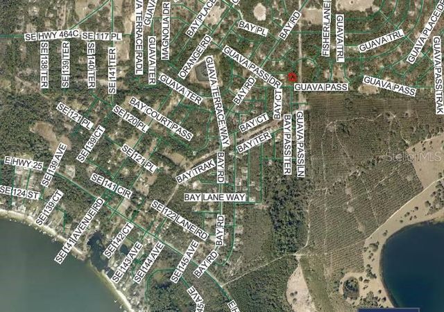 Lot 26 GUAVA PASS DRIVE, Ocklawaha, FL 32179